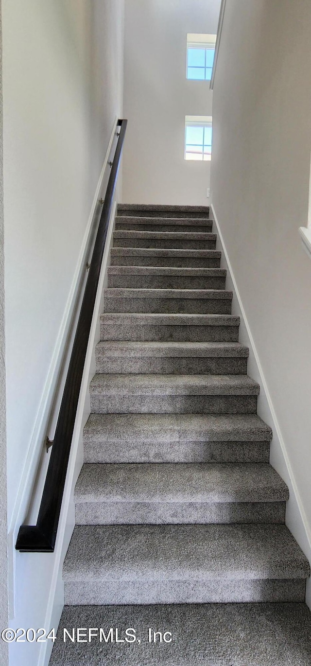 stairway featuring carpet