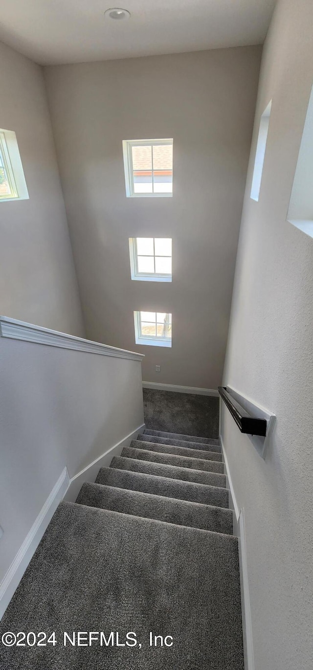 stairway featuring carpet