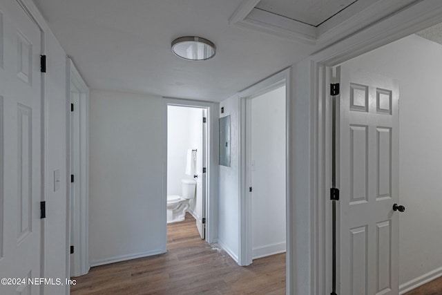 hall with electric panel and light wood-type flooring