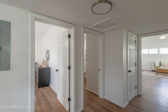 hall featuring hardwood / wood-style floors and electric panel