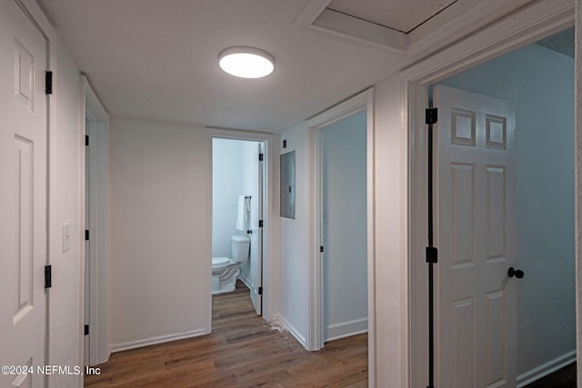 hallway with hardwood / wood-style floors and electric panel