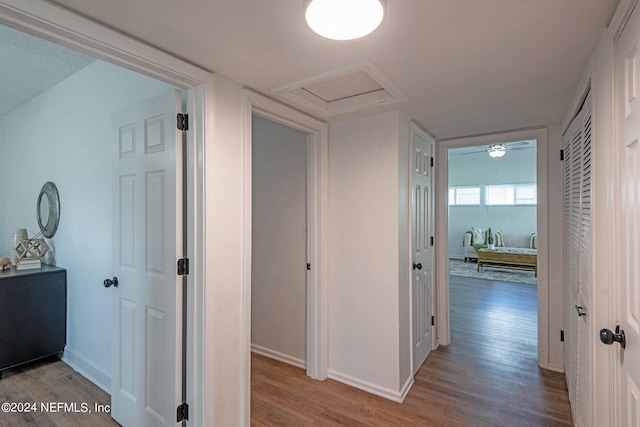 hallway featuring hardwood / wood-style flooring