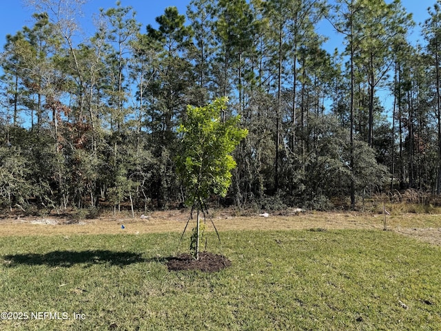 187 Greenwood Dr, Palm Coast, FL 32137 - photo 23