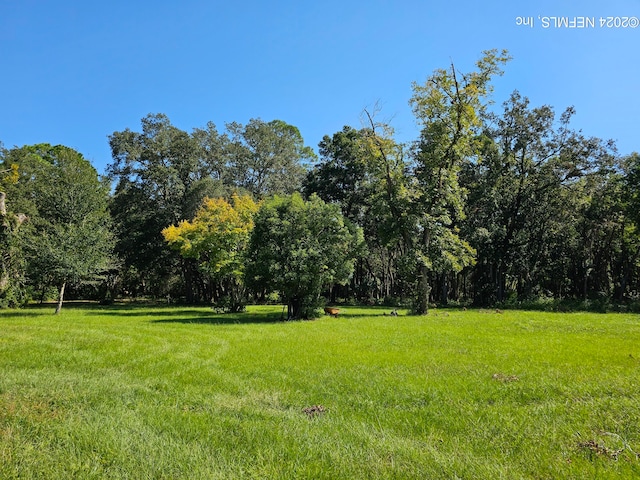 2620 Usina St, Saint Augustine FL, 32084 land for sale