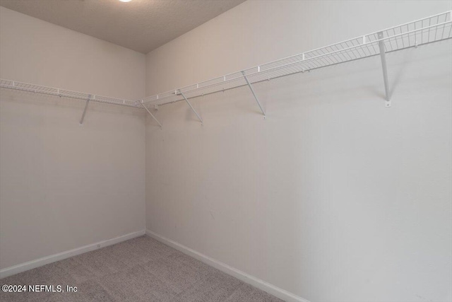 spacious closet featuring carpet floors