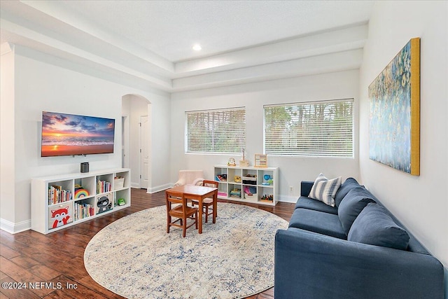 living room featuring dark hardwood / wood-style floors