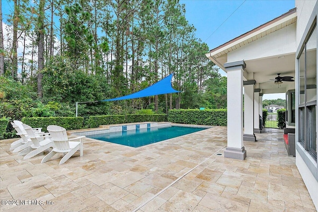 view of pool featuring a patio area and ceiling fan