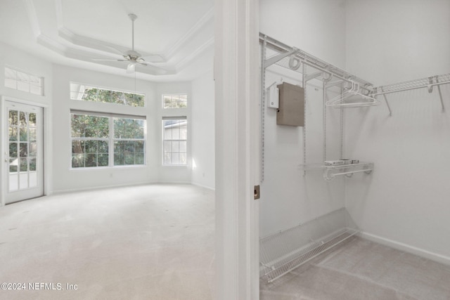 walk in closet with a raised ceiling, ceiling fan, and light carpet