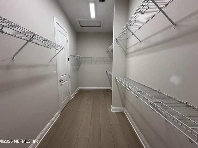 walk in closet with attic access, visible vents, and dark wood-style flooring