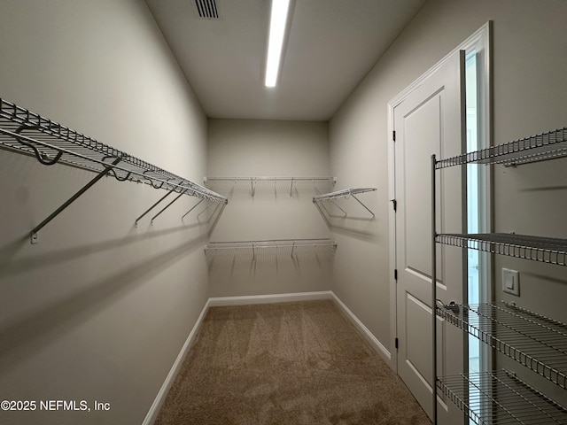 spacious closet featuring carpet and visible vents