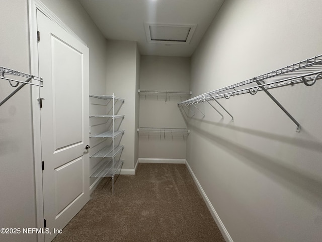 spacious closet featuring carpet flooring and attic access