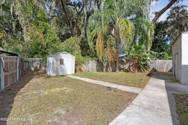 view of yard with a storage shed