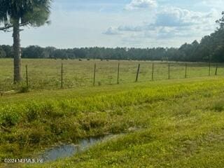 view of yard with a rural view