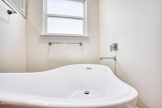 bathroom featuring a washtub