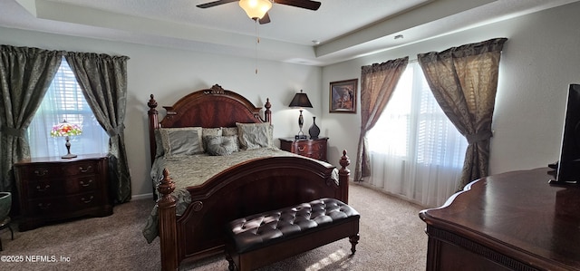 carpeted bedroom featuring ceiling fan, a tray ceiling, and multiple windows