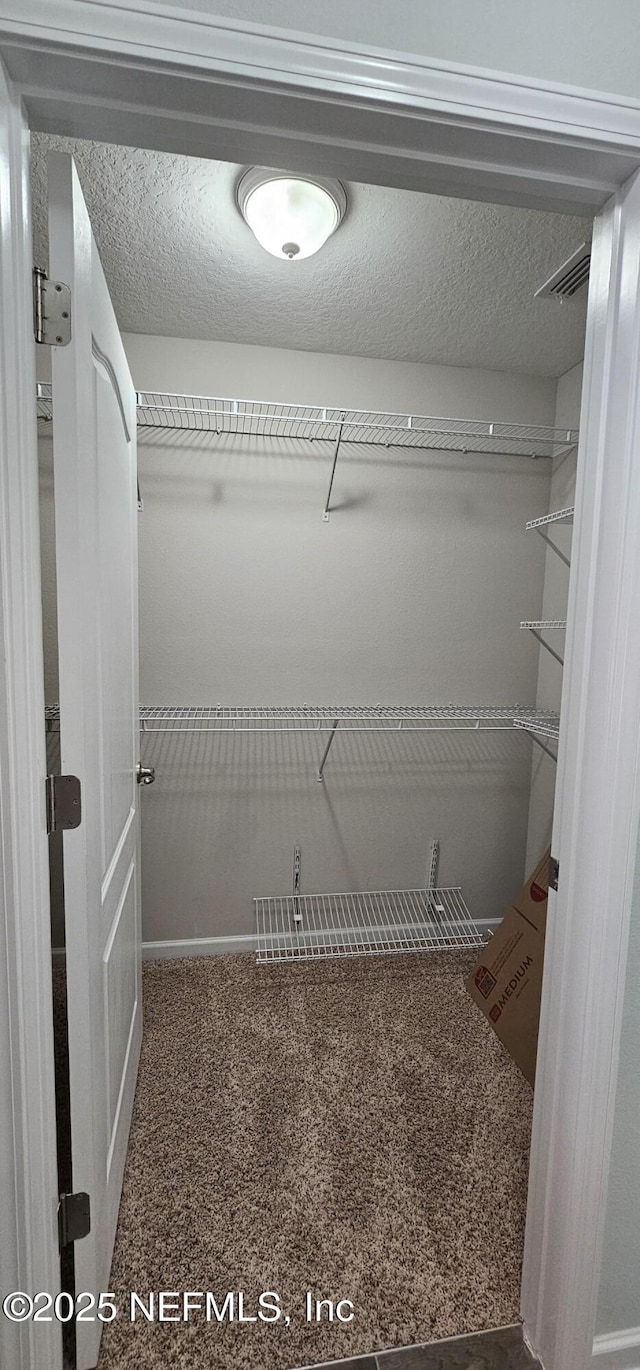 walk in closet featuring carpet floors