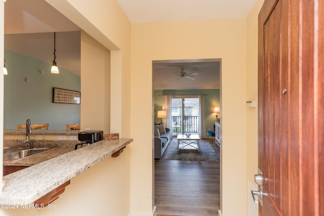 interior space with sink and dark hardwood / wood-style flooring