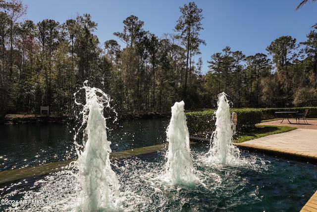 view of property's community with a water view