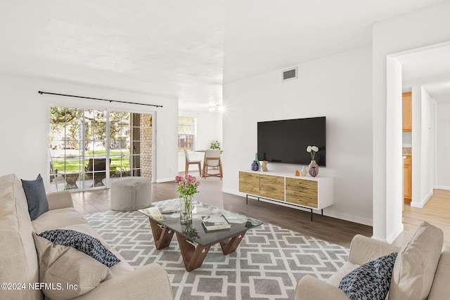 living room with wood-type flooring