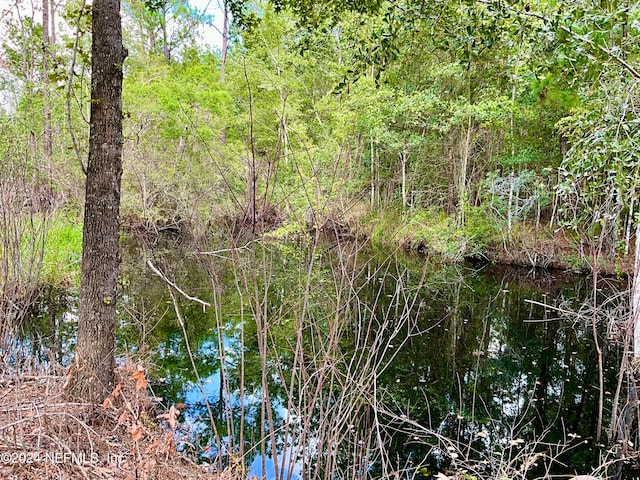 view of nature featuring a water view