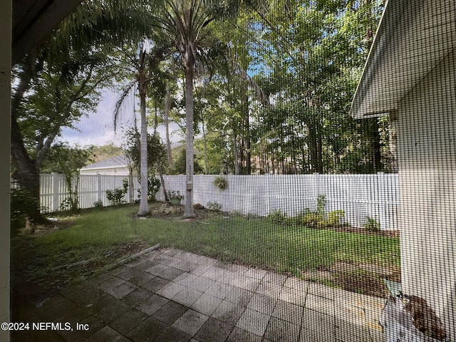 view of yard featuring a patio area