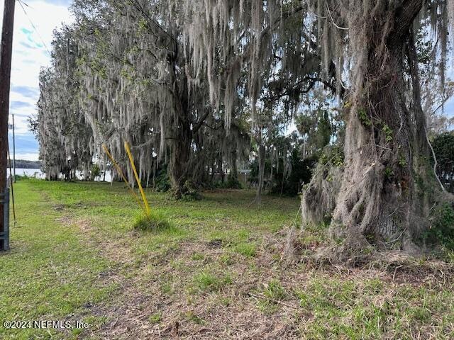 101 Red Barn Ln, Georgetown FL, 32139 land for sale