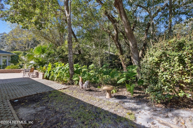 view of yard with a patio