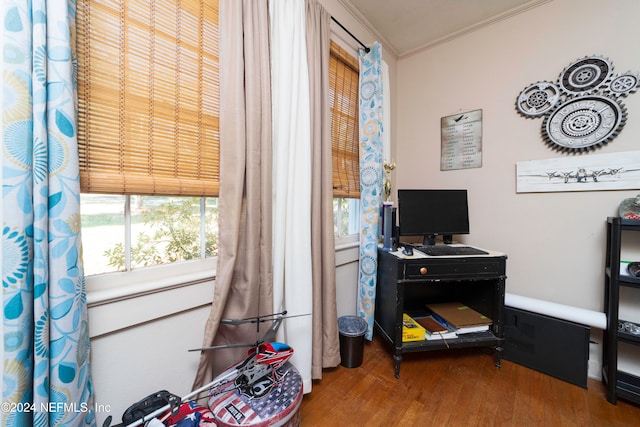 interior space with crown molding and wood-type flooring