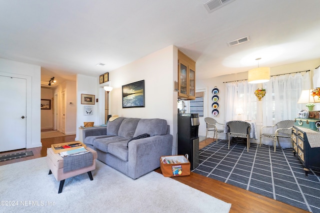 living room featuring dark wood-type flooring