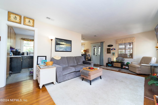 living room featuring hardwood / wood-style flooring