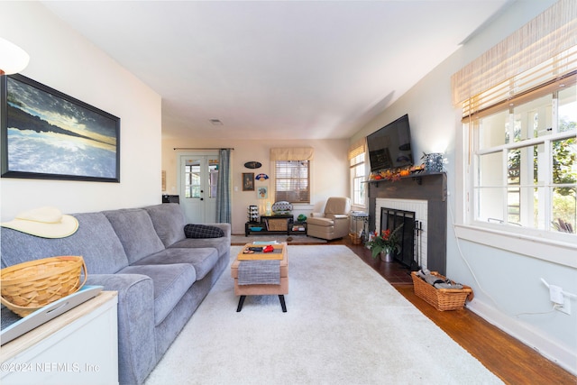 living room featuring plenty of natural light and wood-type flooring