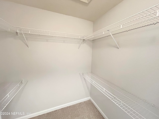 walk in closet with carpet