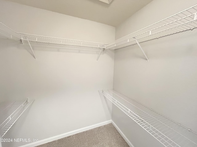 walk in closet featuring carpet flooring