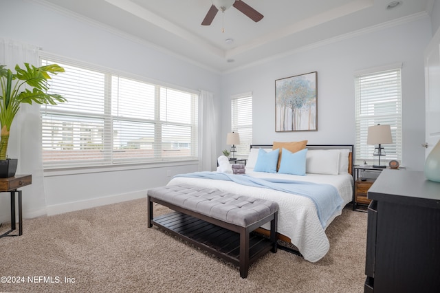 carpeted bedroom featuring ceiling fan, a tray ceiling, and crown molding