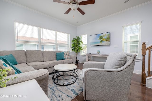 living room featuring crown molding, a wealth of natural light, and dark hardwood / wood-style flooring