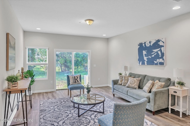 living room featuring hardwood / wood-style flooring