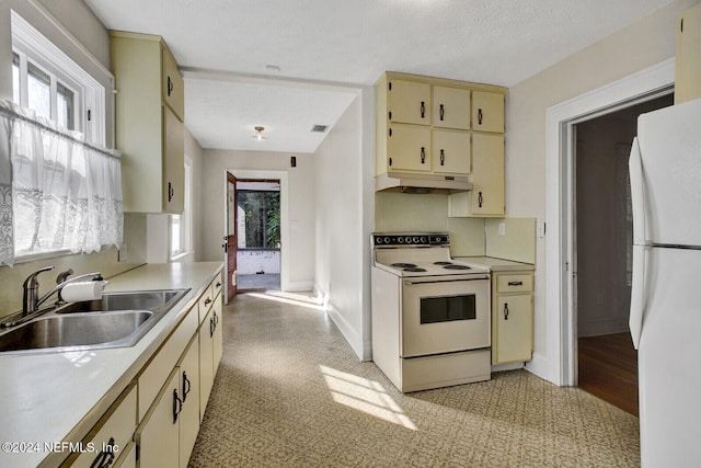 kitchen with cream cabinetry, a textured ceiling, white appliances, and sink