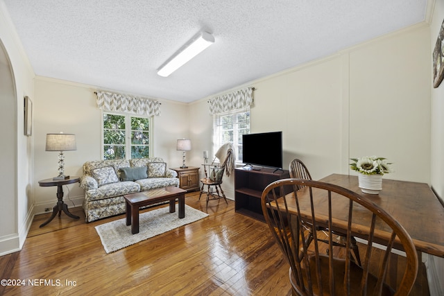 living room with hardwood / wood-style floors, a textured ceiling, and a healthy amount of sunlight