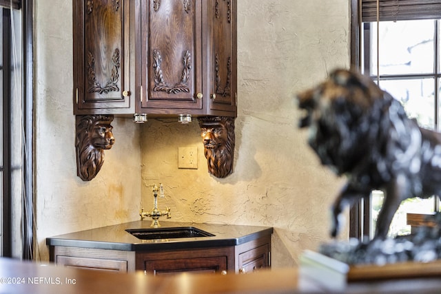 kitchen featuring sink, dark brown cabinetry, and a healthy amount of sunlight