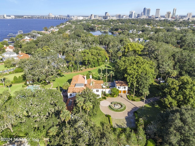 aerial view with a water view