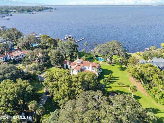 drone / aerial view with a water view