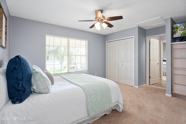 13601 Emerald Cove Ct, Jacksonville, FL 32225 - bedroom with carpet, a closet, baseboards, attic access, and ceiling fan
