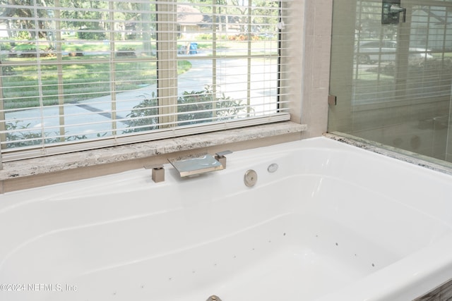 13601 Emerald Cove Ct, Jacksonville, FL 32225 - full bathroom featuring a whirlpool tub