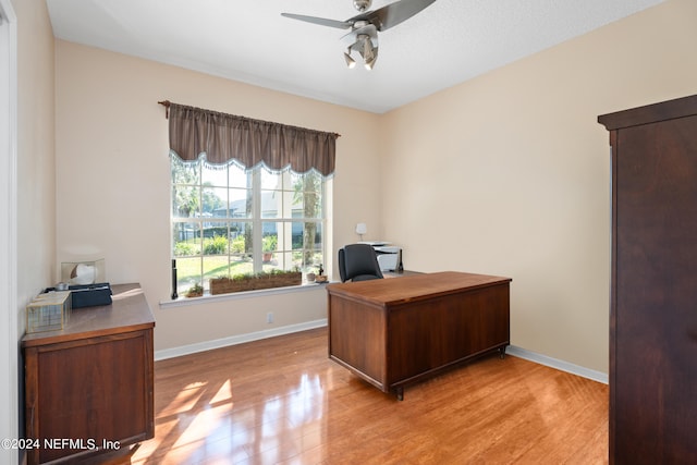 13601 Emerald Cove Ct, Jacksonville, FL 32225 - office area featuring ceiling fan, baseboards, and light wood finished floors