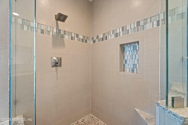 13601 Emerald Cove Ct, Jacksonville, FL 32225 - full bath with a tile shower