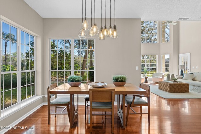 13601 Emerald Cove Ct, Jacksonville, FL 32225 - dining area featuring baseboards, wood finished floors, visible vents, and plenty of natural light