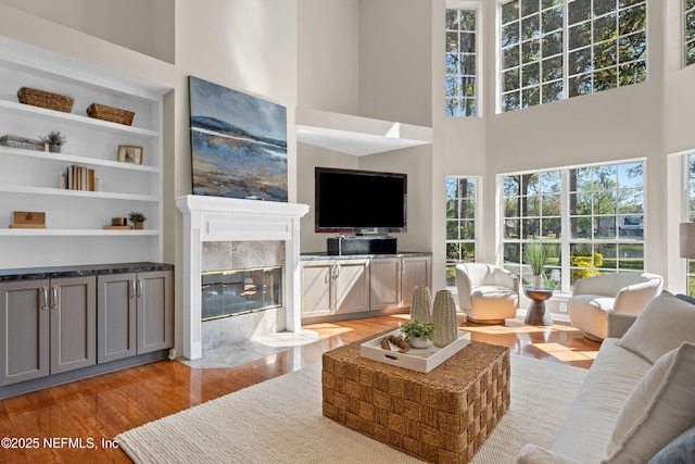 13601 Emerald Cove Ct, Jacksonville, FL 32225 - living room with built in shelves, a high ceiling, light wood finished floors, and a premium fireplace