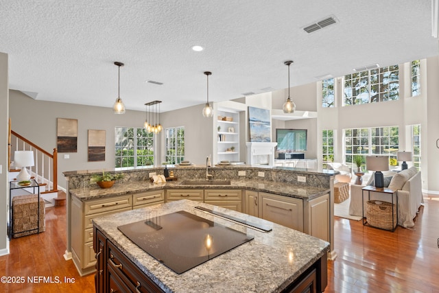 13601 Emerald Cove Ct, Jacksonville, FL 32225 - kitchen with a large island with sink, a sink, open floor plan, visible vents, and black electric stovetop