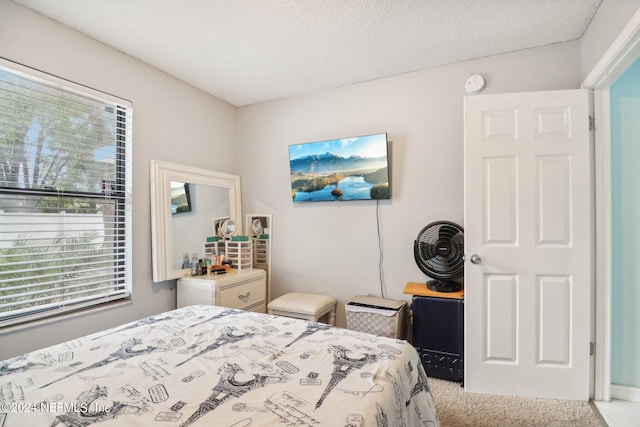 carpeted bedroom with a textured ceiling