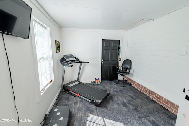 workout room featuring crown molding and dark colored carpet